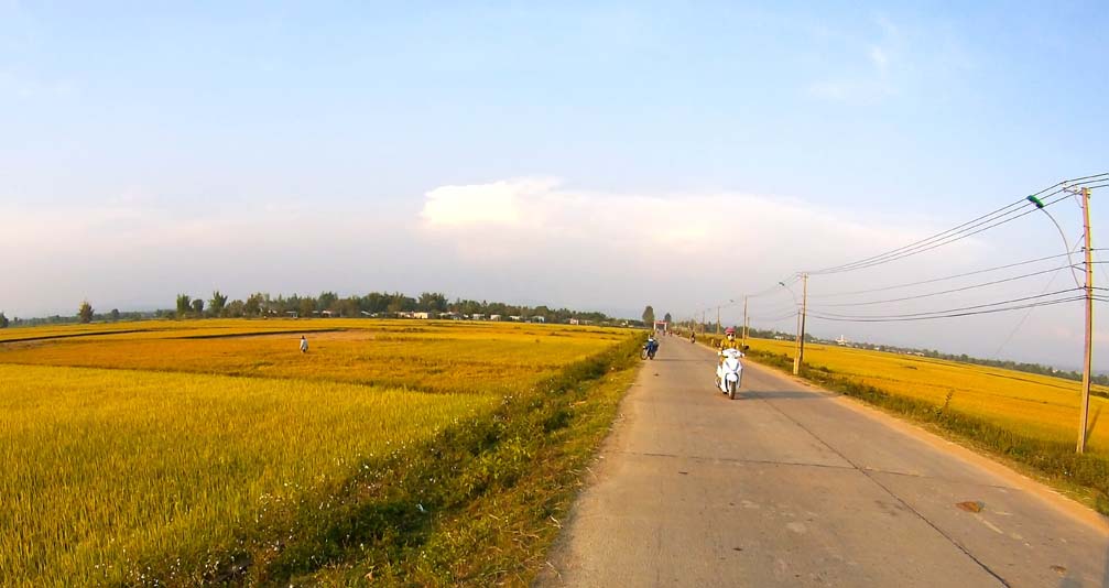 cánh đồng lá chín vàng xã đoàn kết Kon Tum city thành phố trên cao nguyên Việt Nam